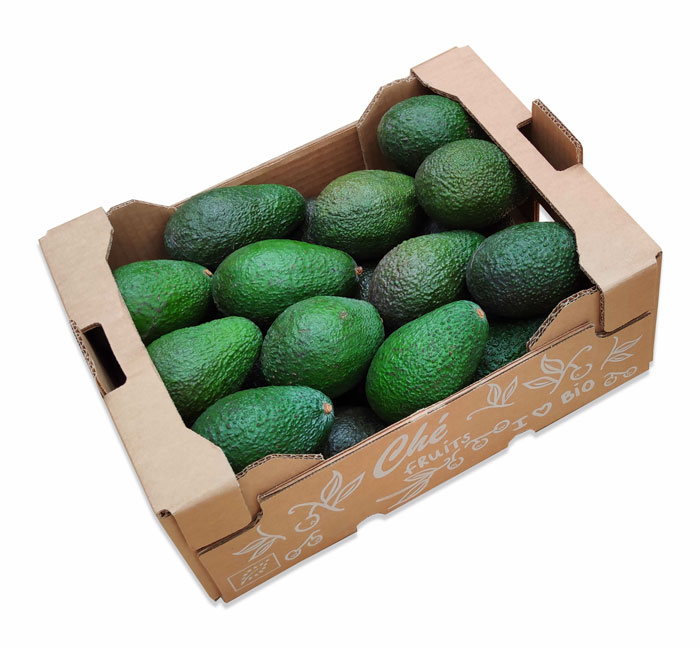Bio Avocado Lieferant