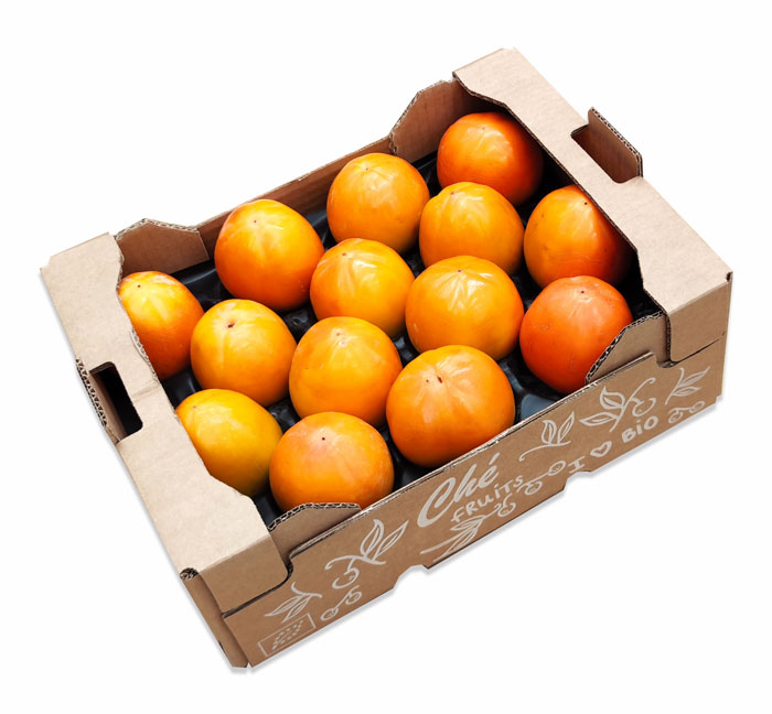 Bio Kaki Großhandel