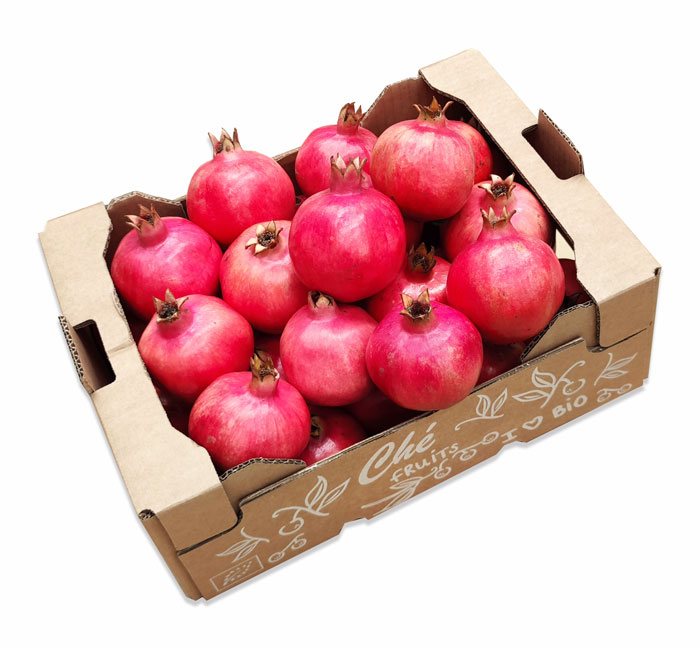 Bio Granatäpfel Lieferant