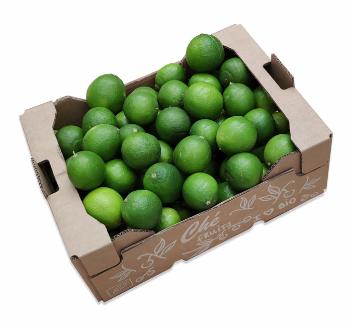 Bio Limetten Großhandel