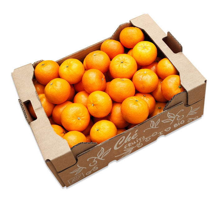 Bio Mandarinen Großhandel