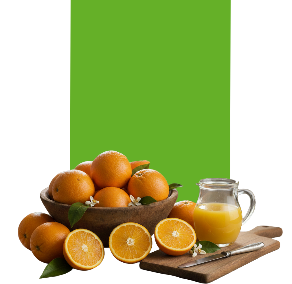 Bio Zitrusfrüchte Spanien